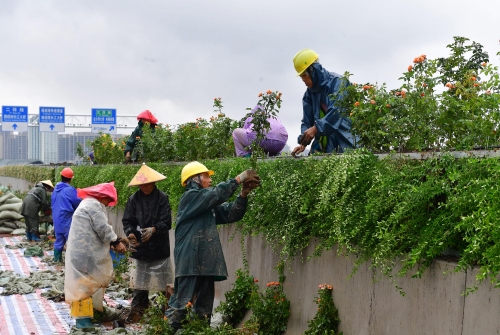 ���Ź����217��(�й���)����