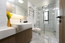 ���Ź����217��(�й���)����