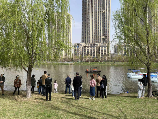 ���Ź����217��(�й���)����