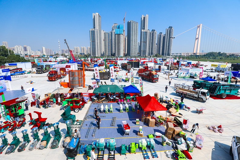 ���Ź����217��(�й���)����