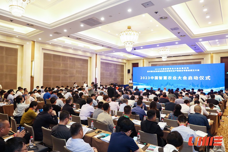 ���Ź����217��(�й���)����