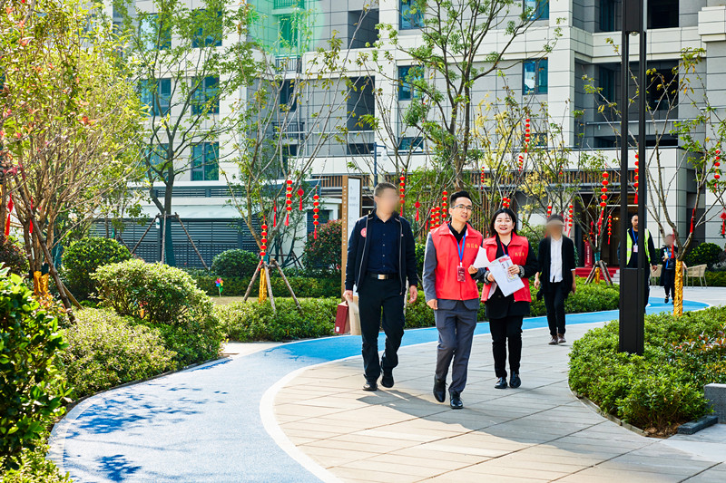 ���Ź����217��(�й���)����