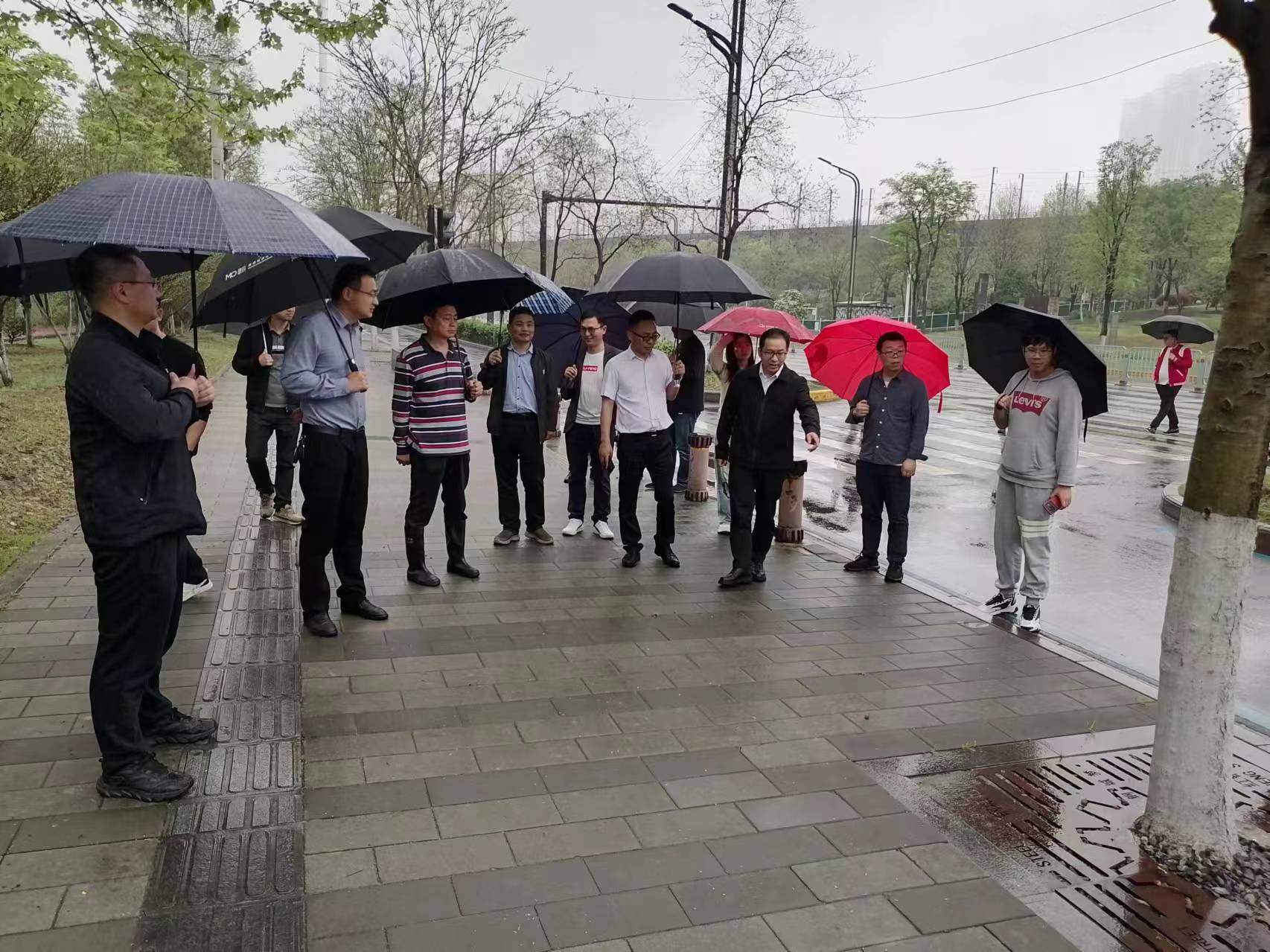 ���Ź����217��(�й���)����