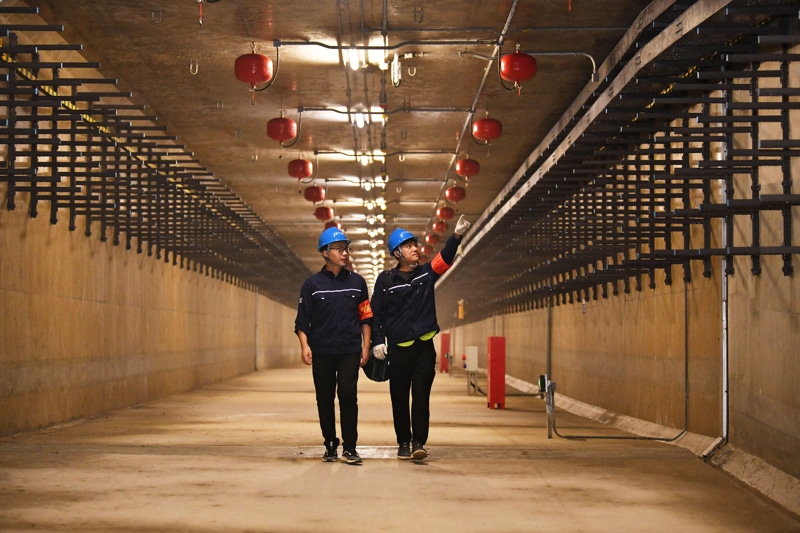 ���Ź����217��(�й���)����