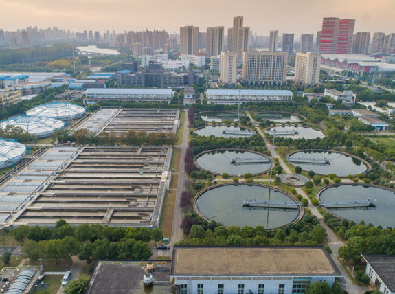 ���Ź����217��(�й���)����