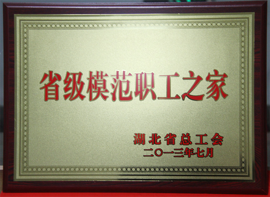 ���Ź����217��(�й���)����