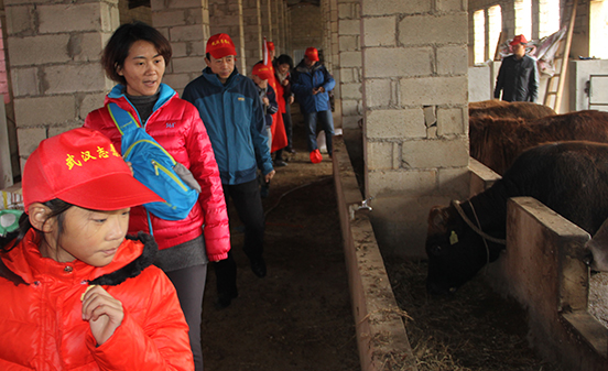 ���Ź����217��(�й���)����