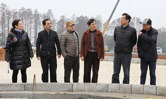 ���Ź����217��(�й���)����