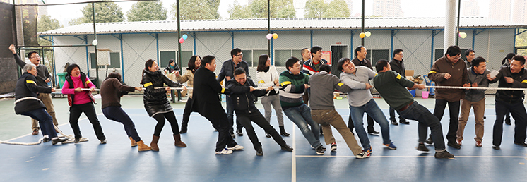 ���Ź����217��(�й���)����