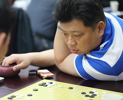 ���Ź����217��(�й���)����