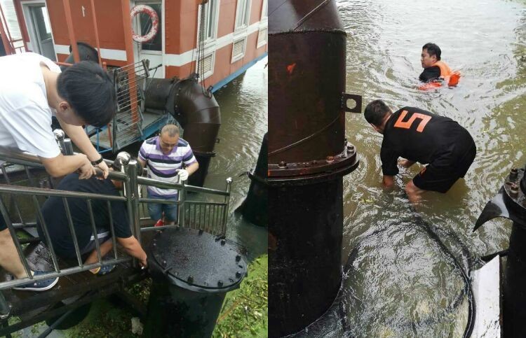 ���Ź����217��(�й���)����