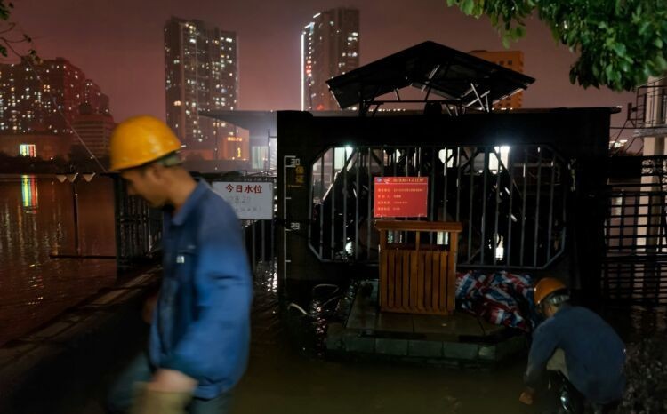 ���Ź����217��(�й���)����