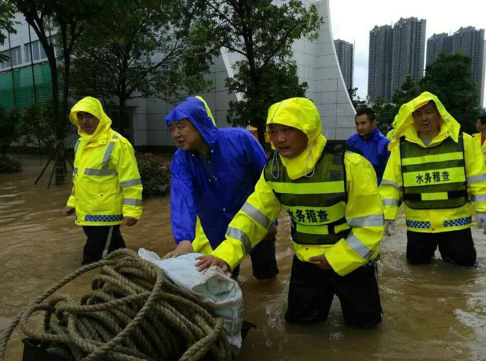 ���Ź����217��(�й���)����