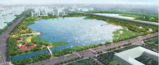 ���Ź����217��(�й���)����