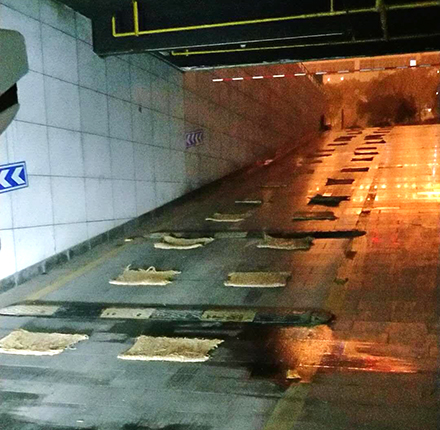 ���Ź����217��(�й���)����