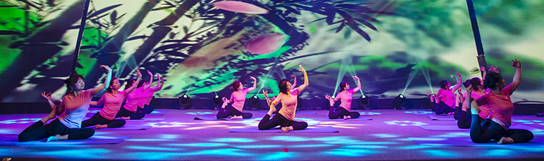 ���Ź����217��(�й���)����