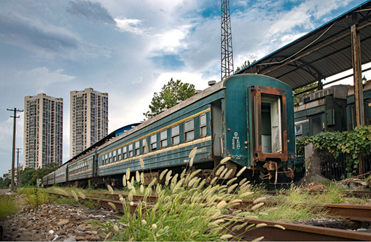 ���Ź����217��(�й���)����