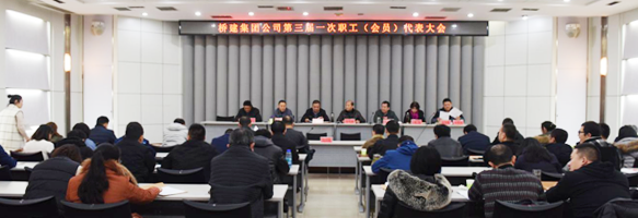 ���Ź����217��(�й���)����