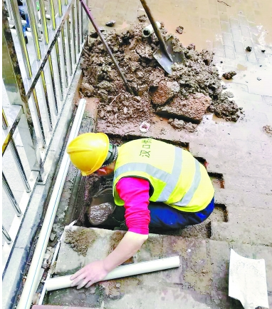 ���Ź����217��(�й���)����