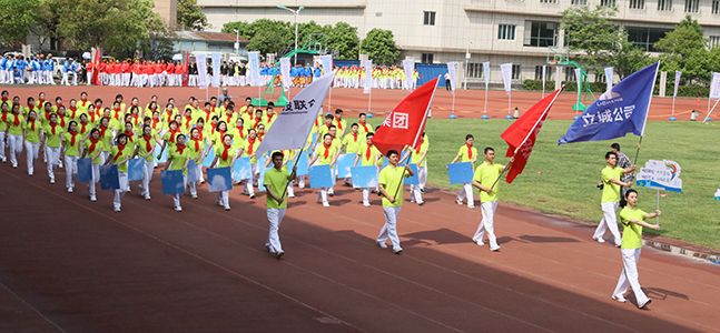 ���Ź����217��(�й���)����