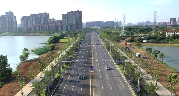 ���Ź����217��(�й���)����