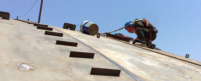 ���Ź����217��(�й���)����