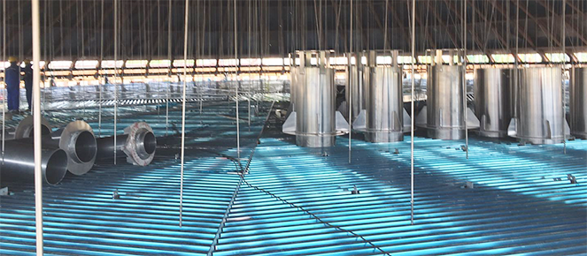 ���Ź����217��(�й���)����