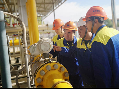 ���Ź����217��(�й���)����