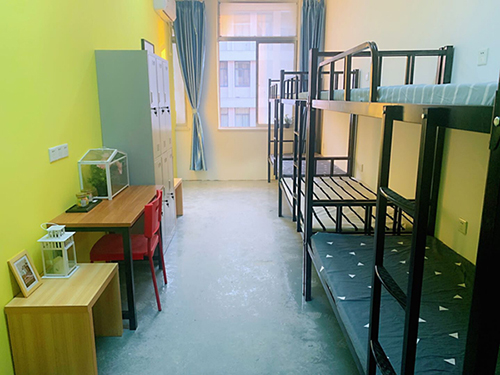 ���Ź����217��(�й���)����