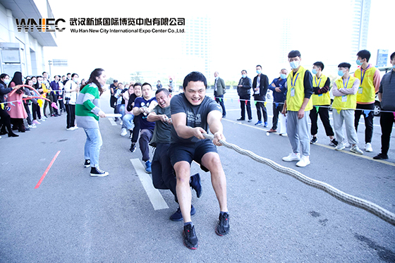 ���Ź����217��(�й���)����