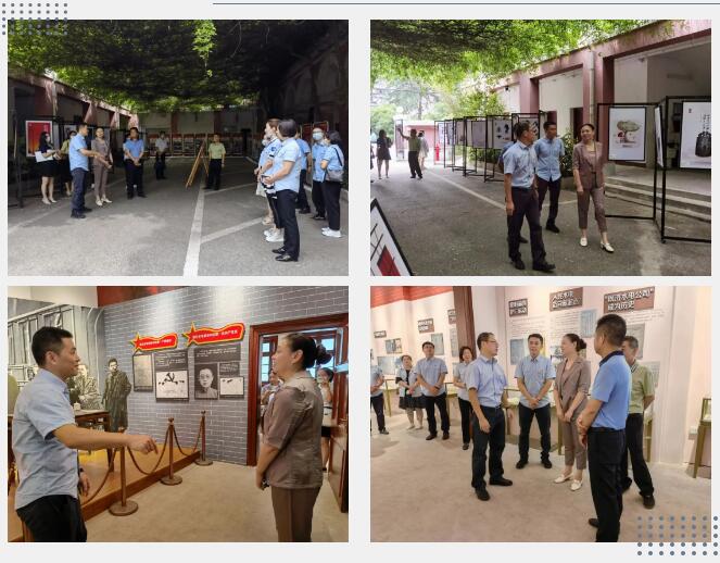 ���Ź����217��(�й���)����