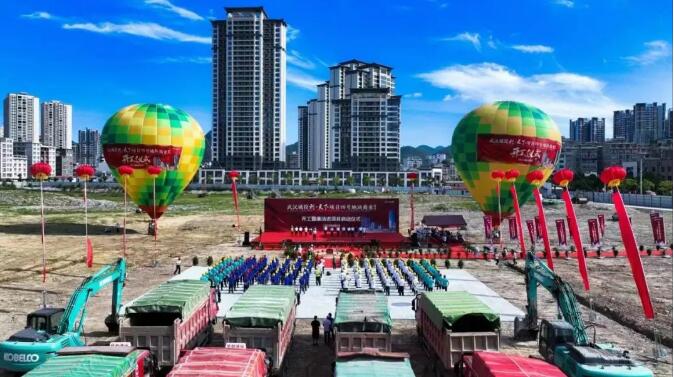 ���Ź����217��(�й���)����